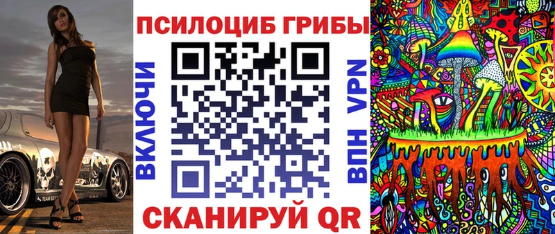 omg сайт  Сосновка  Псилоцибиновые грибы Psilocybe 
